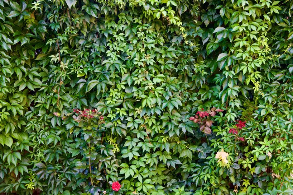 Greens & Outdoors at PRESTIGE CANOPY LIVING PADI (ARIHANT JV), Chennai