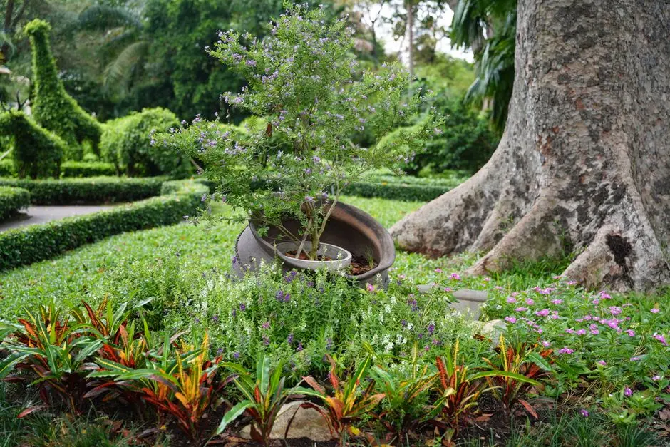 Greens & Outdoors at PRESTIGE ROSHANARA, Whitefield, Bangalore