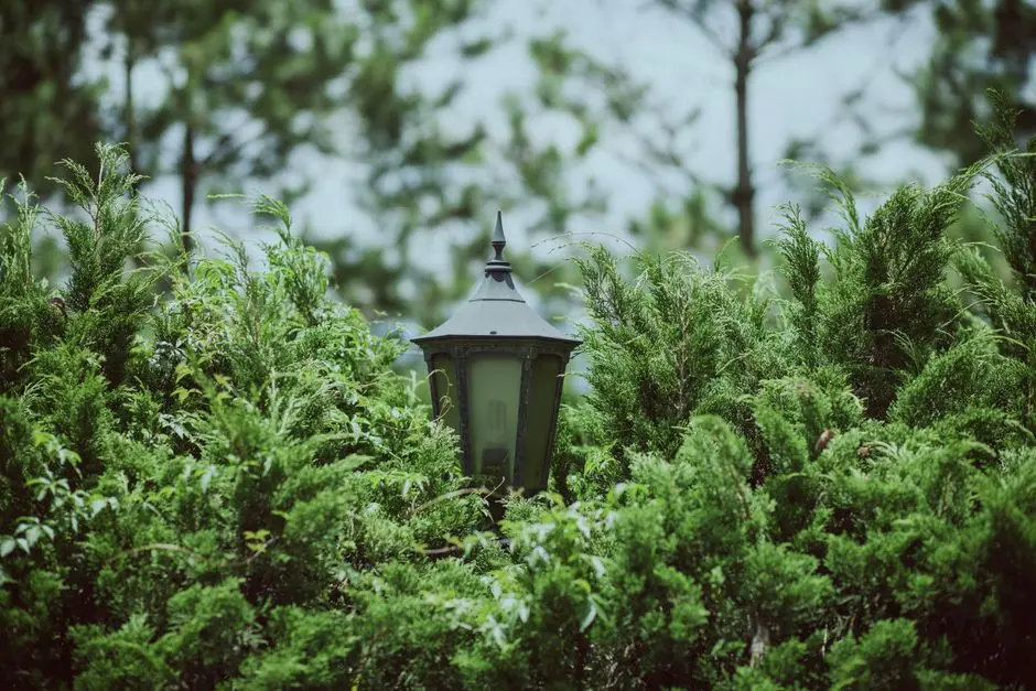 Greens & Outdoors at PRESTIGE ROSHANARA, Whitefield, Bangalore