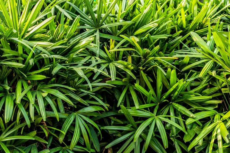 Greens & Outdoors at PRESTIGE BUDIGERE CROSS, Bangalore