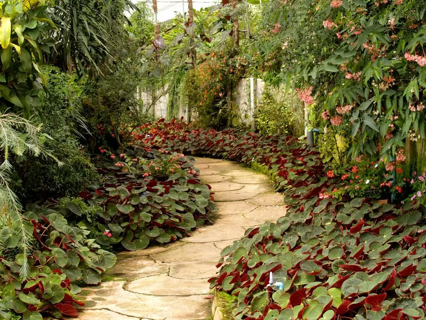Greens & Outdoors at PRESTIGE WAVE CITY, Wave City Township, Ghaziabad