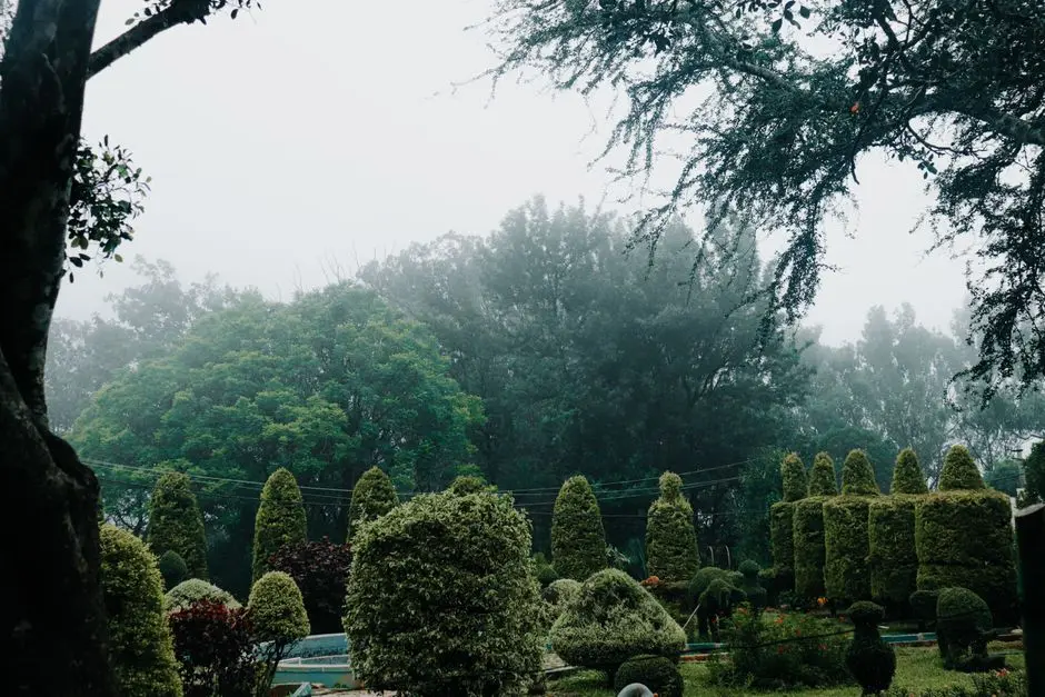 Greens & Outdoors at PRESTIGE SIESTA (THE PRESTIGE CITY), Sarjapur, Bangalore