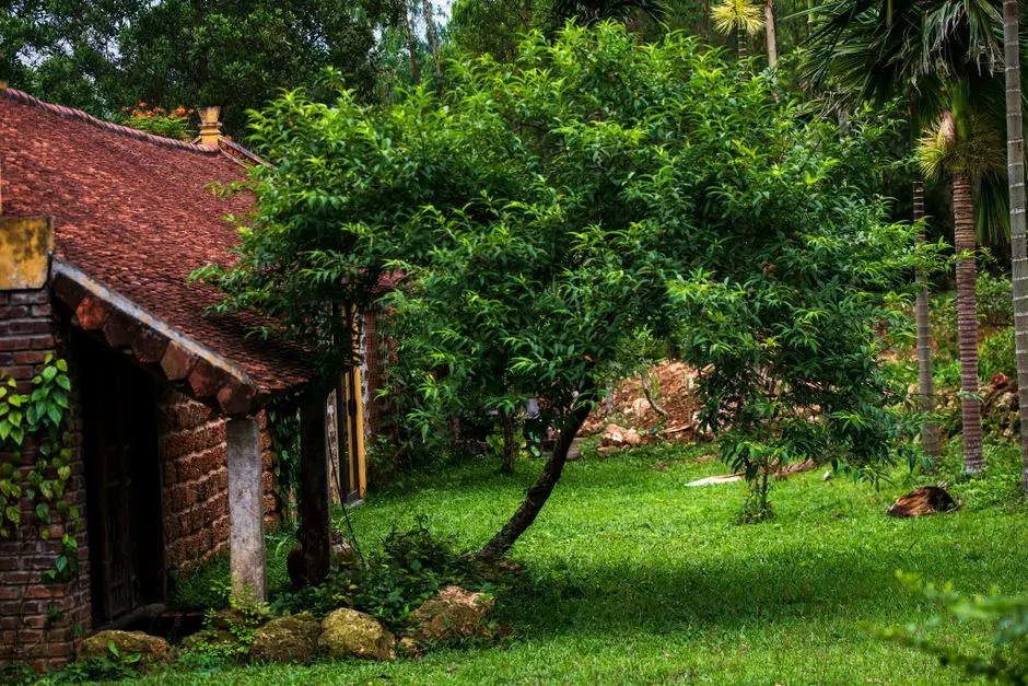 Greens & Outdoors at PRESTIGE OAKWOOD (THE PRESTIGE CITY), Sarjapur Road, Bangalore