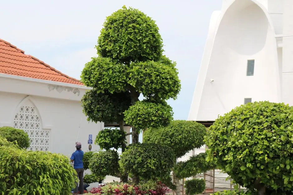 Greens & Outdoors at PRESTIGE CITY DWARKA EXPRESSWAY, Sector 162, Gurgaon