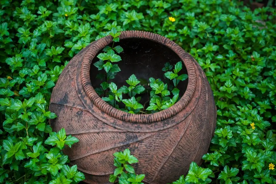 Greens & Outdoors at PRESTIGE LANDMARK, Hebbal, Bangalore
