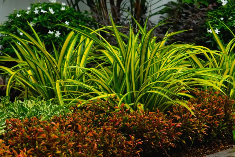 Greens & Outdoors at PRESTIGE JRC SIGNATURE TOWERS, Bellandur, Bangalore