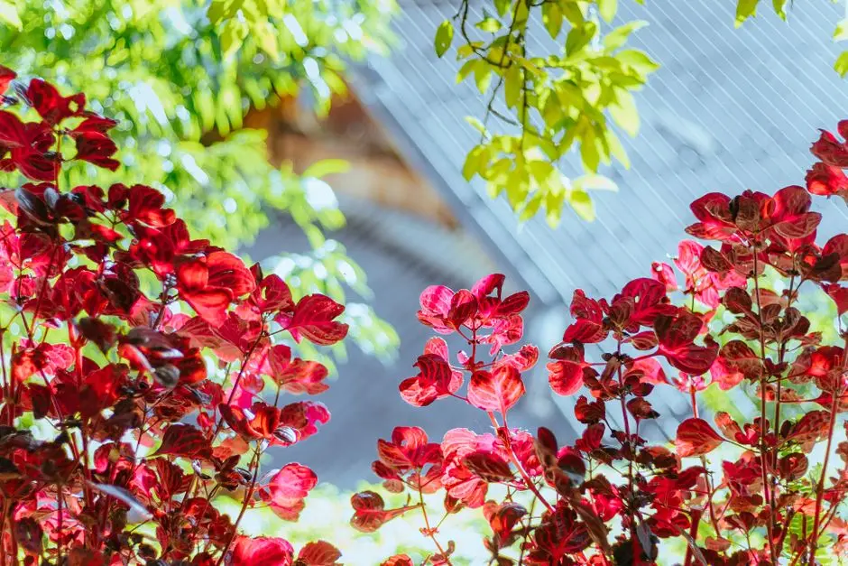 Greens & Outdoors at PRESTIGE CONVENTION & HOSPITALITY HUB, Bengaluru Airport City, Bangalore