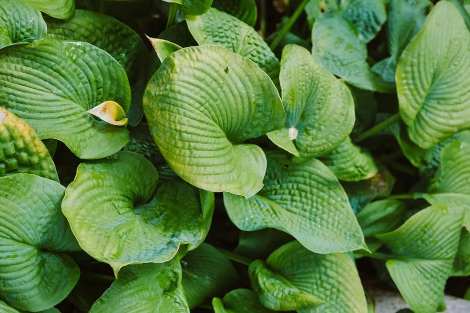 Greens & Outdoors at PRESTIGE ANDHERI EAST, Mumbai
