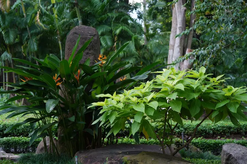 Greens & Outdoors at PRESTIGE PAVILION, Mysuru
