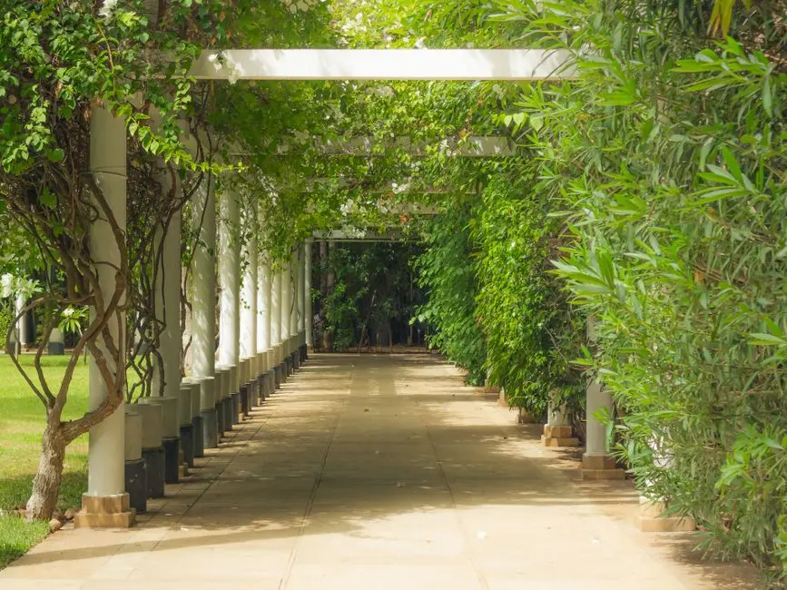 Greens & Outdoors at PRESTIGE HOSKOTE, Bangalore