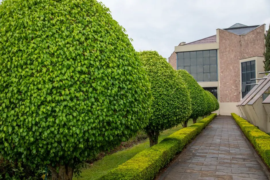 Greens & Outdoors at PRESTIGE GARDENIA ESTATES PHASE 2, Devanahalli, Bangalore
