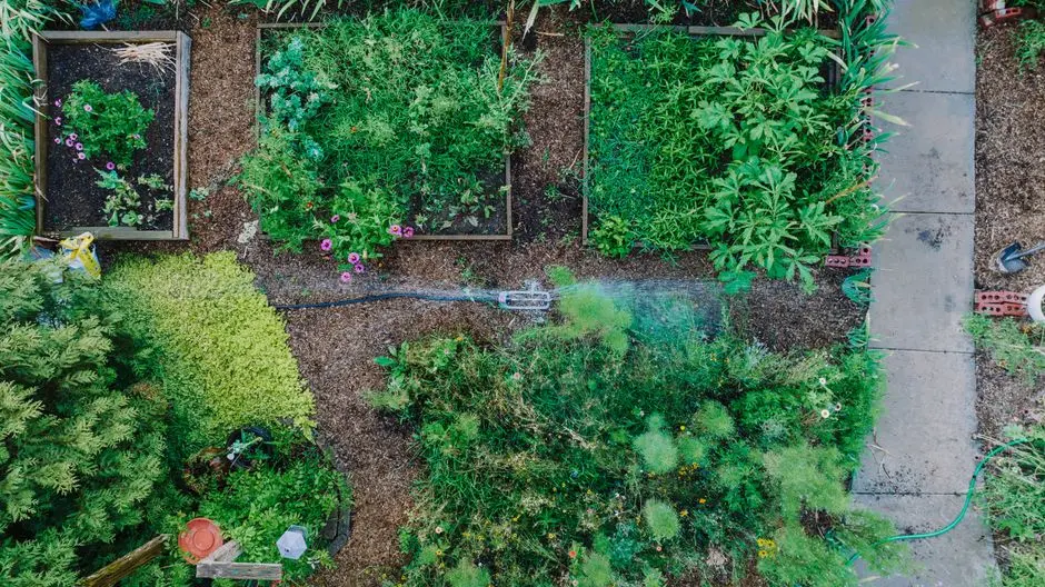 Greens & Outdoors at PRESTIGE CONVENTION & HOSPITALITY HUB, Bengaluru Airport City, Devanahalli