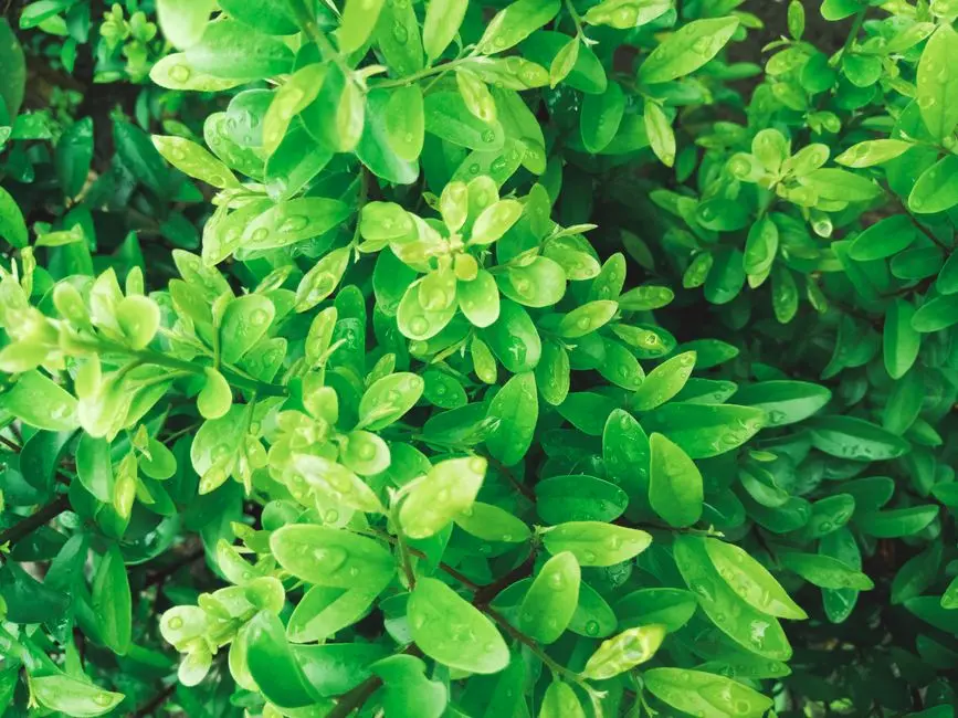 Greens & Outdoors at PRESTIGE GROVE HILLS, Kanakapura Road, Bangalore