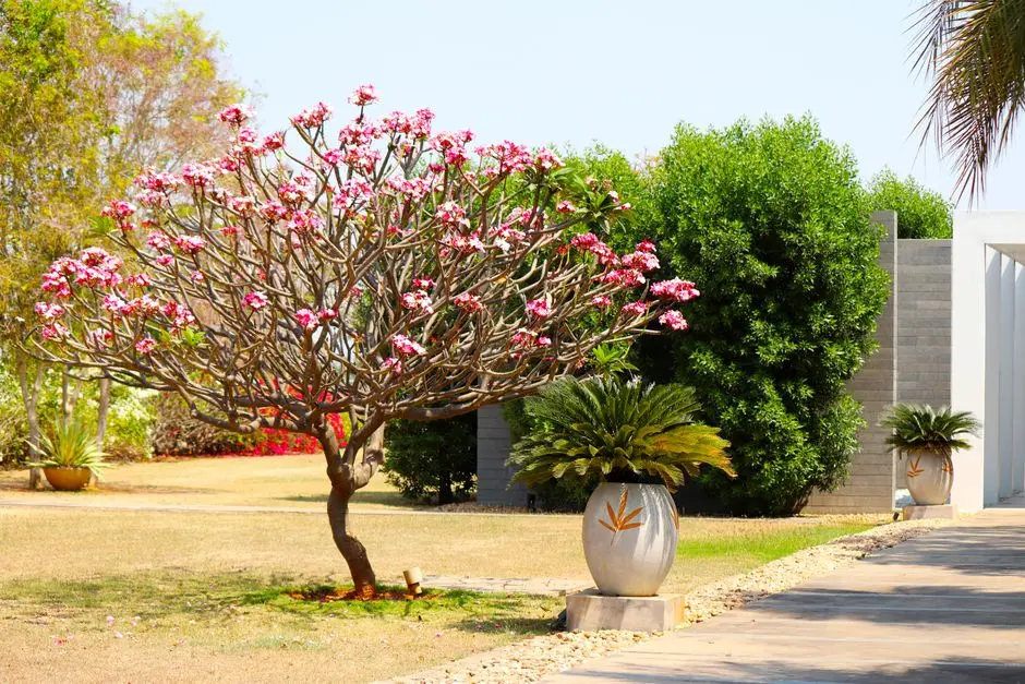 Greens & Outdoors at PRESTIGE KOTHANUR KR PURAM BENGALURU, Bangalore