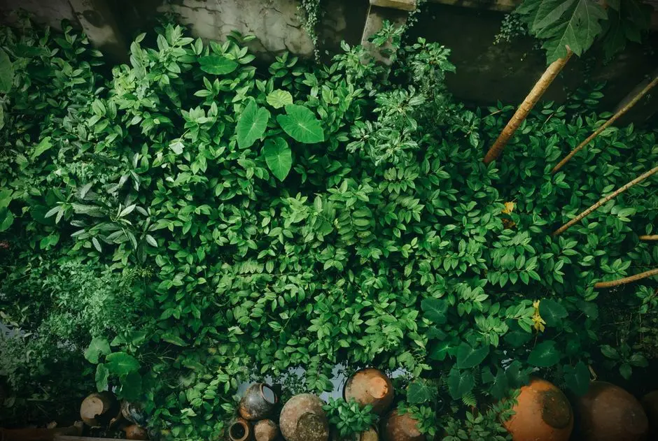 Greens & Outdoors at PRESTIGE KOMPALLY, Hyderabad