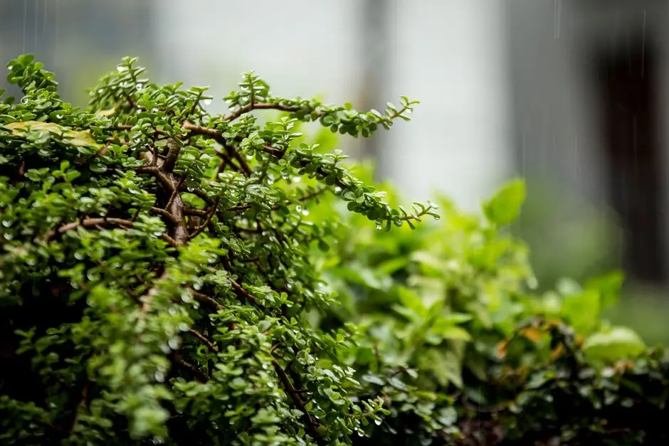Greens & Outdoors at PRESTIGE FOREST EDGE, South Bangalore, Bangalore