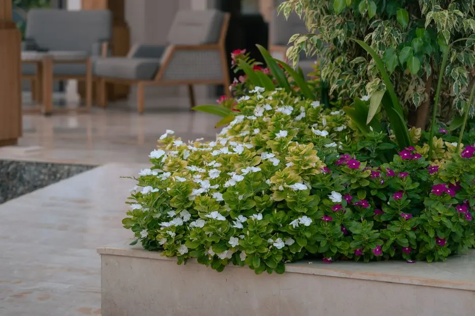 Greens & Outdoors at PRESTIGE CENTURY LANDMARK, Hebbal, Bangalore